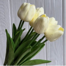 Букет тюльпанов, 34 см, молочный, букет з 9 шт.