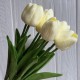 Букет тюльпанов, 34 см, молочный, букет з 9 шт.