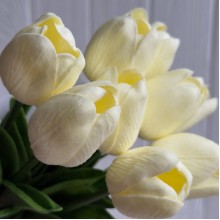 Букет тюльпанов, 34 см, молочный, букет з 9 шт.