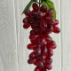 Виноград (довгий) (С30433), 31 мм, бордовий, шт.