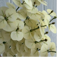 Ветка эвкалипта (ТВ-С30715), 47 см, молочно-оливковая, шт. Ветка эвкалипта (ТВ-С30715), 47 см, молочно-оливковая, шт.