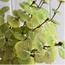 Ветка эвкалипта (ТВ-С30715), 47 см, светло-зеленая, шт. Ветка эвкалипта (ТВ-С30715), 47 см, светло-зеленая, шт.