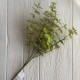 Ветка эвкалипта (ТВ-С30715), 47 см, светло-зеленая, шт.