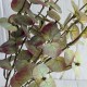 Ветка эвкалипта (ТВ-С30715), 47 см, бледо-оливково-бордовая, шт.