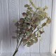 Ветка эвкалипта (ТВ-С30715), 47 см, бледо-оливково-бордовая, шт.