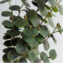 Ветка эвкалипта (ТВ-С30715), 47 см, зеленая, шт. Ветка эвкалипта (ТВ-С30715), 47 см, зеленая, шт.