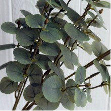Ветка эвкалипта (ТВ-С30715), 47 см, приглушено-зеленая, шт. Ветка эвкалипта (ТВ-С30715), 47 см, приглушено-зеленая, шт.