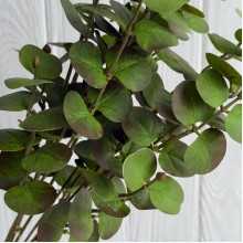 Ветка эвкалипта (ТВ-С30715), 47 см, ярко-зеленая, шт. Ветка эвкалипта (ТВ-С30715), 47 см, ярко-зеленая, шт.