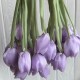 Тюльпаны из органзы, 42 см, лиловые, упаковка 20 шт.