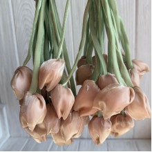 Тюльпаны из органзы, 42 см, бежевые, упаковка 20 шт. Тюльпаны из органзы, 42 см, бежевые, упаковка 20 шт.