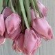 Тюльпаны из органзы, 42 см, пудрово-розовые, упаковка 20 шт. Тюльпаны из органзы, 42 см, пудрово-розовые, упаковка 20 шт.
