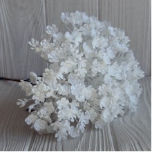 Цветущая зелень (С30659), 19 см, белая, букет с 5 шт.