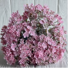 Цветущая зелень (С30659), 19 см, розовая, букет с 5 шт.