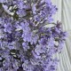 Цветущая зелень (С30659), 19 см, лиловая, букет с 5 шт.