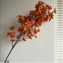 Сакура 110 см (С30471), оранжевый, шт. Сакура 110 см (С30471), оранжевый, шт.