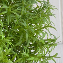 Букет декоративного розмарина (С30664), 18 см, зеленый, букет з 6 шт.