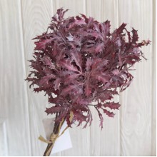 Букет остролиста (С30661), 32 см, бордовый, букет з 5 шт.