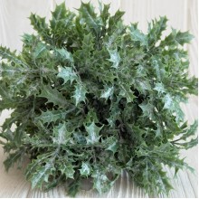 Букет остролиста (С30661), 32 см, зеленый, букет з 5 шт.