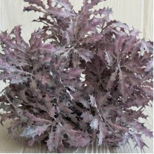 Букет остролиста (С30661), 32 см, фиолетовый, букет з 5 шт.