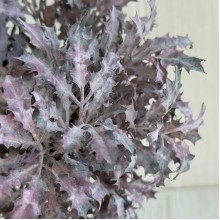 Букет остролиста (С30661), 32 см, фиолетовый, букет з 5 шт.