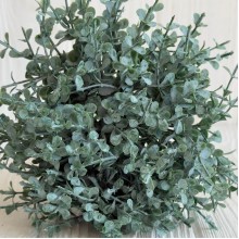 Букет мелкого эвкалипта (С30666), 18 см, зеленый, букет з 10 шт.