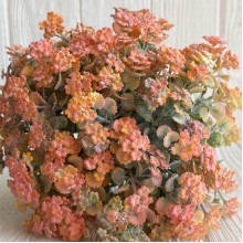 Кольорова зелень (С30660), 32 см, помаранчева, шт. Кольорова зелень (С30660), 32 см, помаранчева, шт.