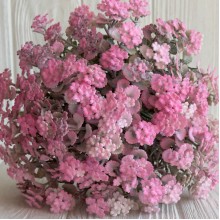 Кольорова зелень (С30660), 32 см, рожева, шт. Кольорова зелень (С30660), 32 см, рожева, шт.