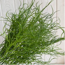 Гілка зелені (С30662), 40 см, яскраво-зелений, шт. Гілка зелені (С30662), 40 см, яскраво-зелений, шт.