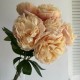 Букет пионов 57 см (С30690), персиковый, букет с 7 цветков