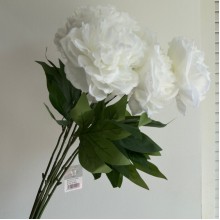 Букет пионов 57 см (С30690), айвори, букет с 7 цветков