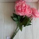 Букет пионов 57 см (С30690), насыщенно-розовый, букет с 7 цветков Букет пионов 57 см (С30690), насыщенно-розовый, букет с 7 цветков