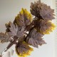 Ветка с листьями клена (С30489), 56 см, баклажаново-желтый, упаковка 12 шт.