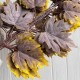 Ветка с листьями клена (С30489), 56 см, баклажаново-желтый, упаковка 12 шт.