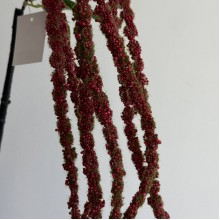 Свисающая ветка амаранта (С30790), 80 см, бордовая, шт.