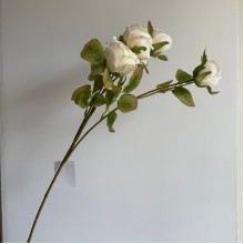 Гілка троянди (С30703), 66 см, молочна, шт.