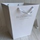 Пакети-переноски трапеція «Blooming» (J01373), 30х20х34 см, білий з сріблом, упаковка 10 шт.