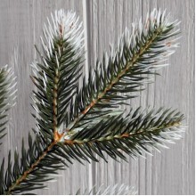 Еловая ветка (пятинарная), 30х12 см, зелено-белая, упаковка 10 шт.