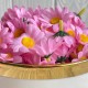 Бутон ромашки, 4 см, рожевий, упаковка 200 шт.