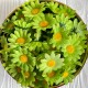 Бутон ромашки, 4 см, салатовый, упаковка 200 шт. Бутон ромашки, 4 см, салатовый, упаковка 200 шт.