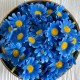 Бутон ромашки, 4 см, синий, упаковка 200 шт. Бутон ромашки, 4 см, синий, упаковка 200 шт.