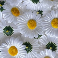 Бутон ромашки, 6 см, белая, упаковка 100 шт.