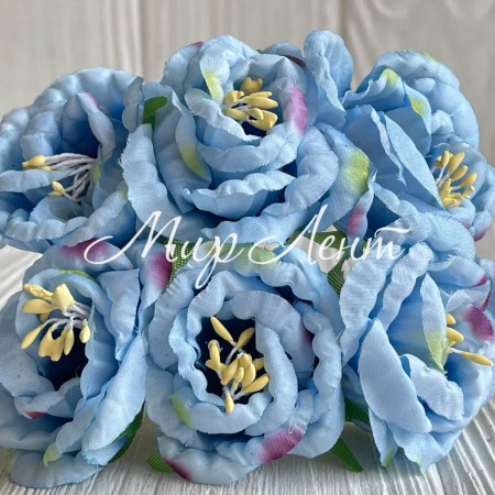 Глоксиния, 4,5 см, голубой, упаковка 36 шт.