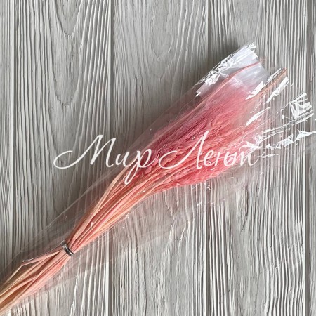 Колоски стабилизированные, 60 см, розовые, упаковка 30 шт.