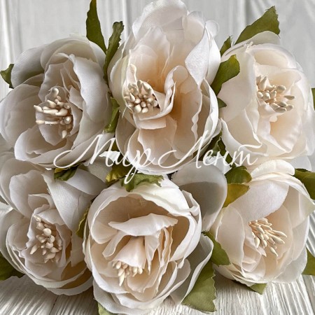 Бегония, 5х12 см, молочная, упаковка 30 шт.