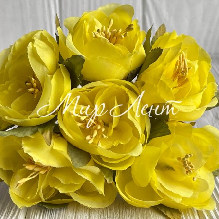 Бегонія, 5х12 см, жовта, упаковка 30 шт.