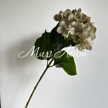 Ветка гортензии (С30542), 66 см, светло-оливковая, шт.