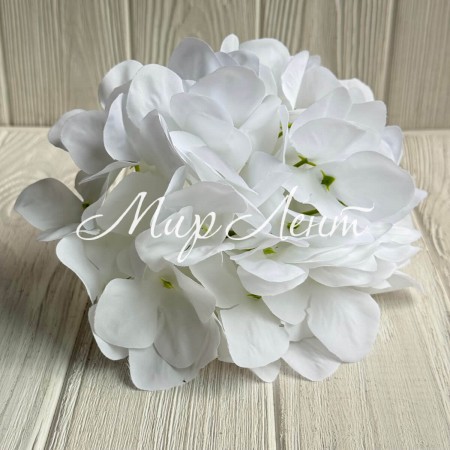 Гортензия (соцветие), 17 см, белый, шт.