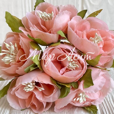 Бегонія, 5х12 см, середньо-персикова, упаковка 30 шт.