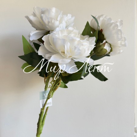 Букет півоній (С30482), 50 см, білий, шт.