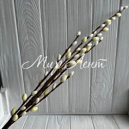 Верба, 77 см, молочная, шт.